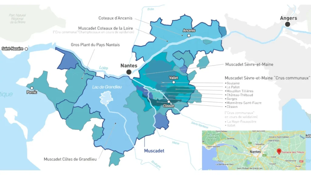 Carte viticole - Pays de Nantes/Muscadet