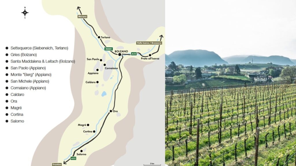 Carte viticole Alto Adige