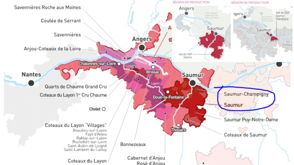 Carte viticole: Val de Loire, Saumur-Champigny