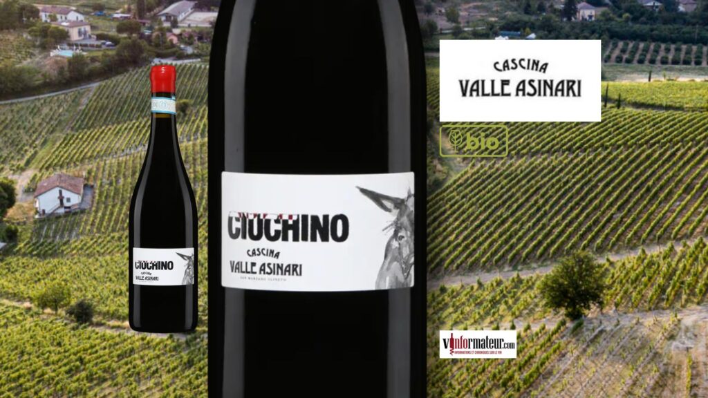 🍇 Ciuchino 2024 : un rouge bio du Piémont généreux, velouté et croquant.