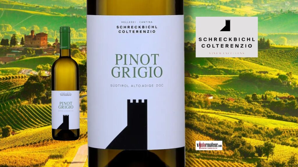 🍷 Pourquoi les Pinot Grigio de l&rsquo;Alto Adige n&rsquo;ont rien à voir avec les autres