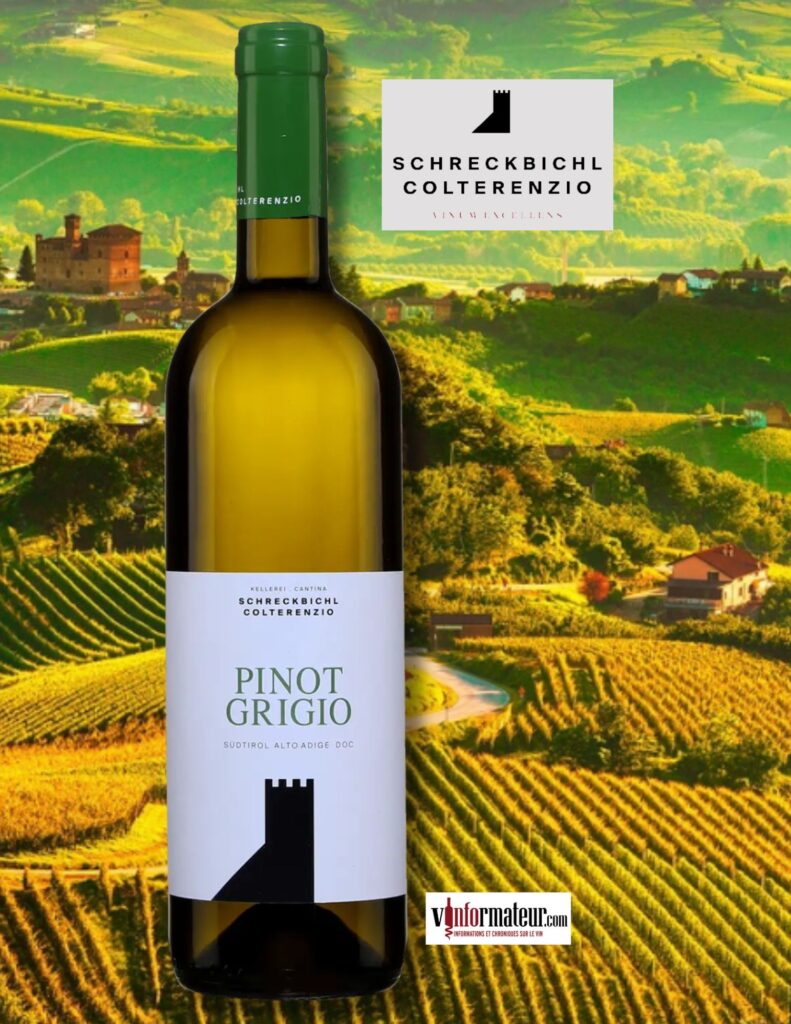 Pinot Grigio, Italie, Sudtirol Alto Adige DOC, Kellerei Schreckbichl Cantina Colterenzio, vin blanc, 2024 bouteille