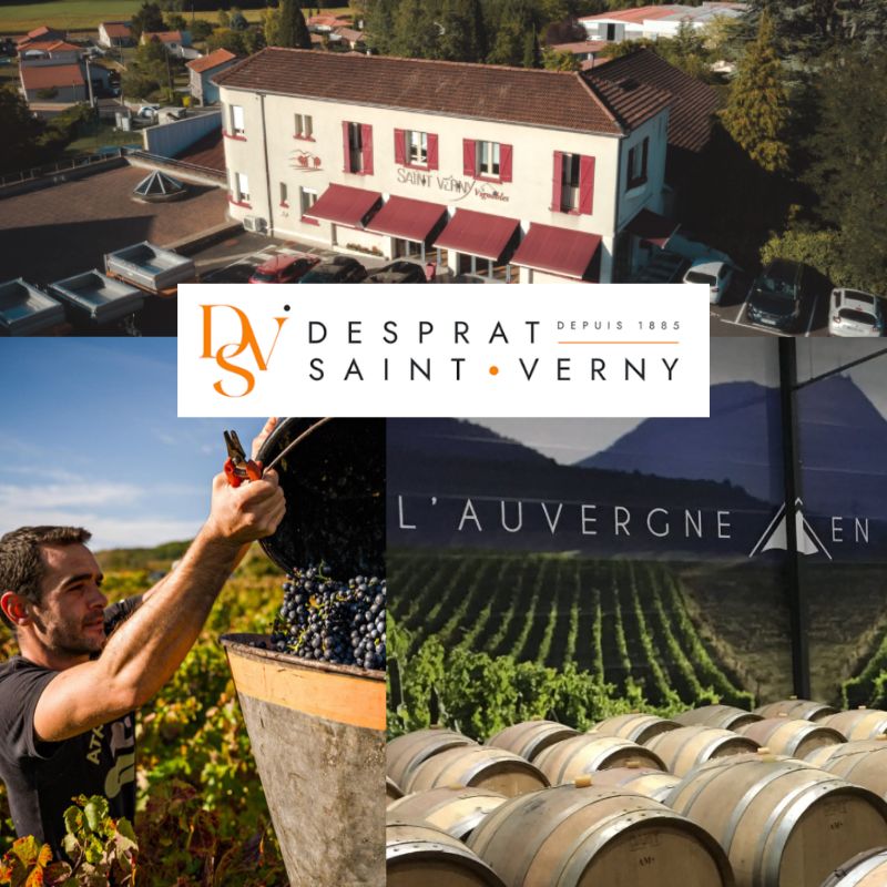 Desprats Saint-Verny: chai et vignobles