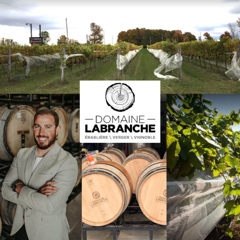 Domaine Labranche: Louis Desgroseillers, chai et vignobles