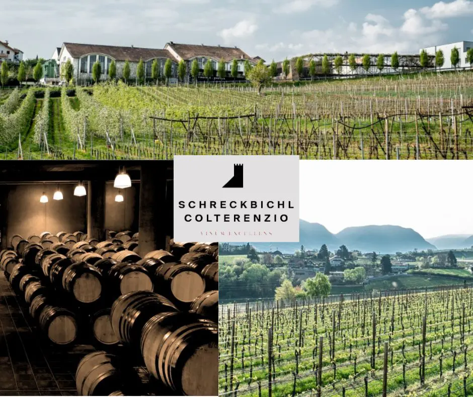 Kellerei Schreckbichl Cantina Colterenzio: chai et vignobles