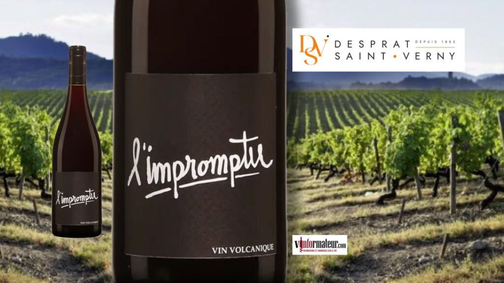 🌋 Ce Gamay volcanique d’Auvergne révèle un tout autre visage du cépage
