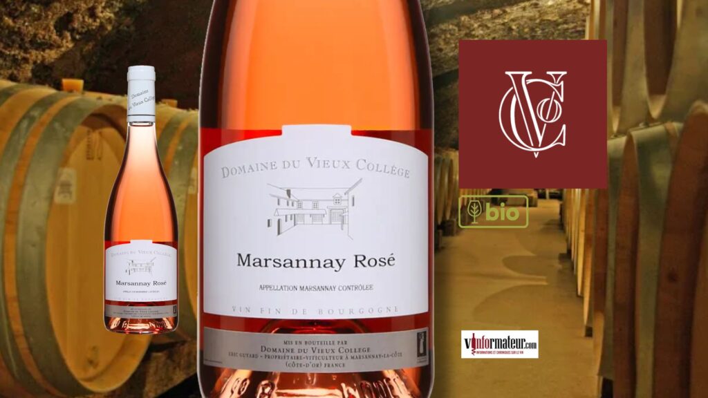 Marsannay rosé 2025 : le grand rosé bio de Bourgogne à découvrir