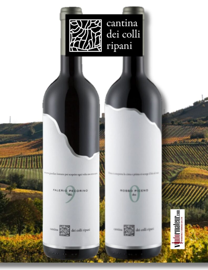Dégustation des vins de Cantina dei colli Ripani - disponibles à la SAQ bouteilles