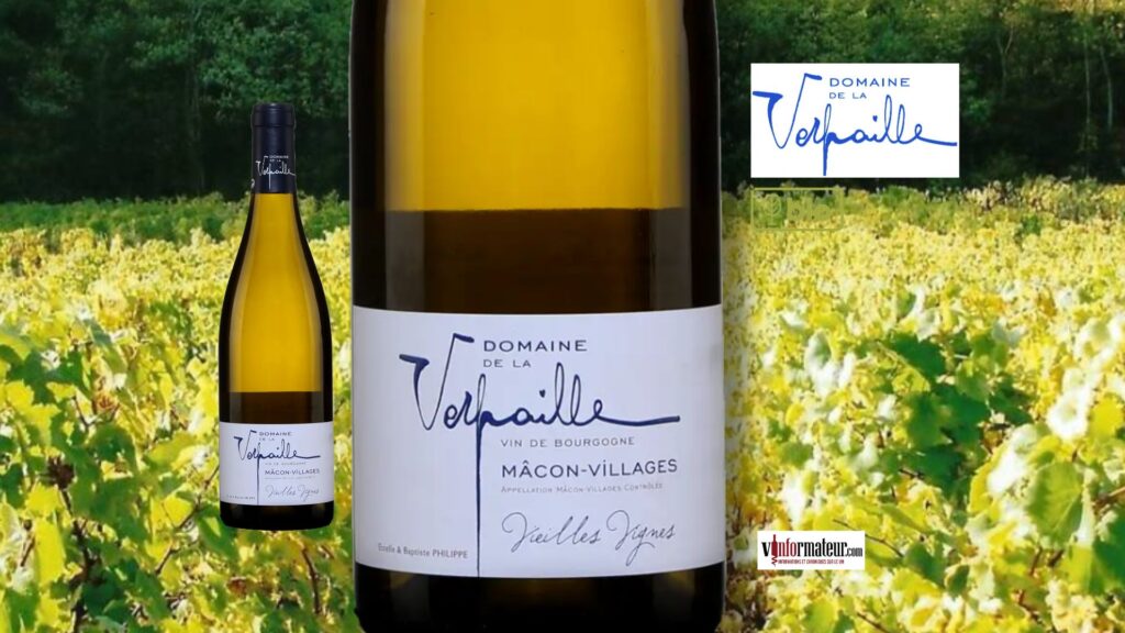 Ce Chardonnay bio issu de vieilles vignes du Mâconnais offre toute la fraîcheur du millésime 2024 à moins de 30 $
