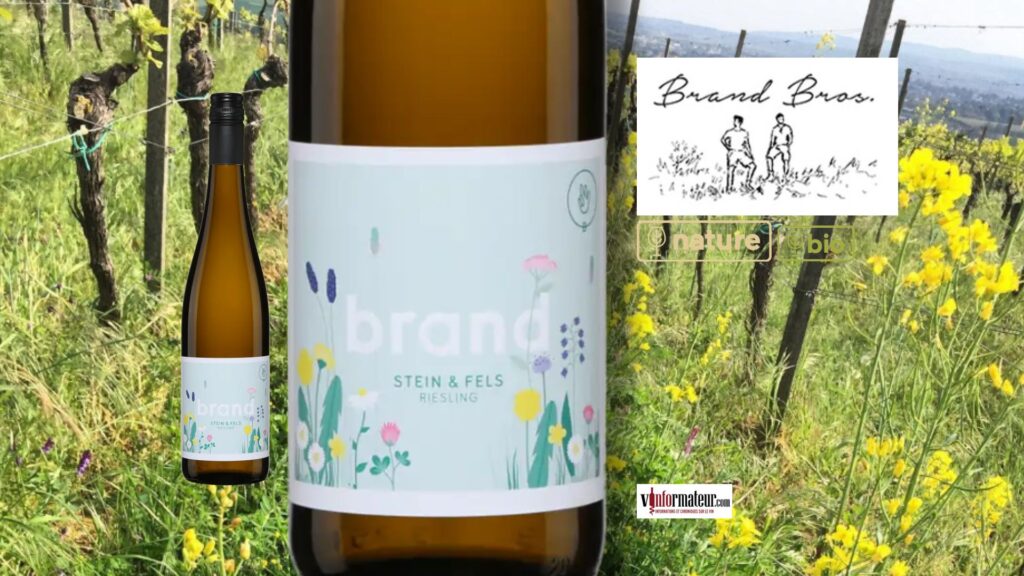 🍋 Ce Riesling bio allemand à 23 $ est l’une des belles découvertes de l’été!