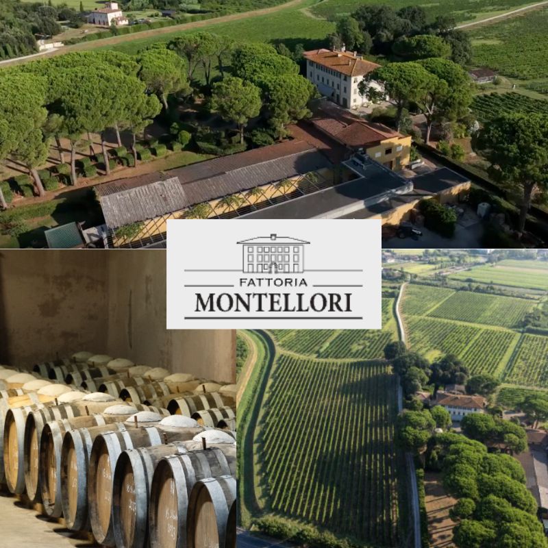 Fattoria Montellori: chai et vignobles