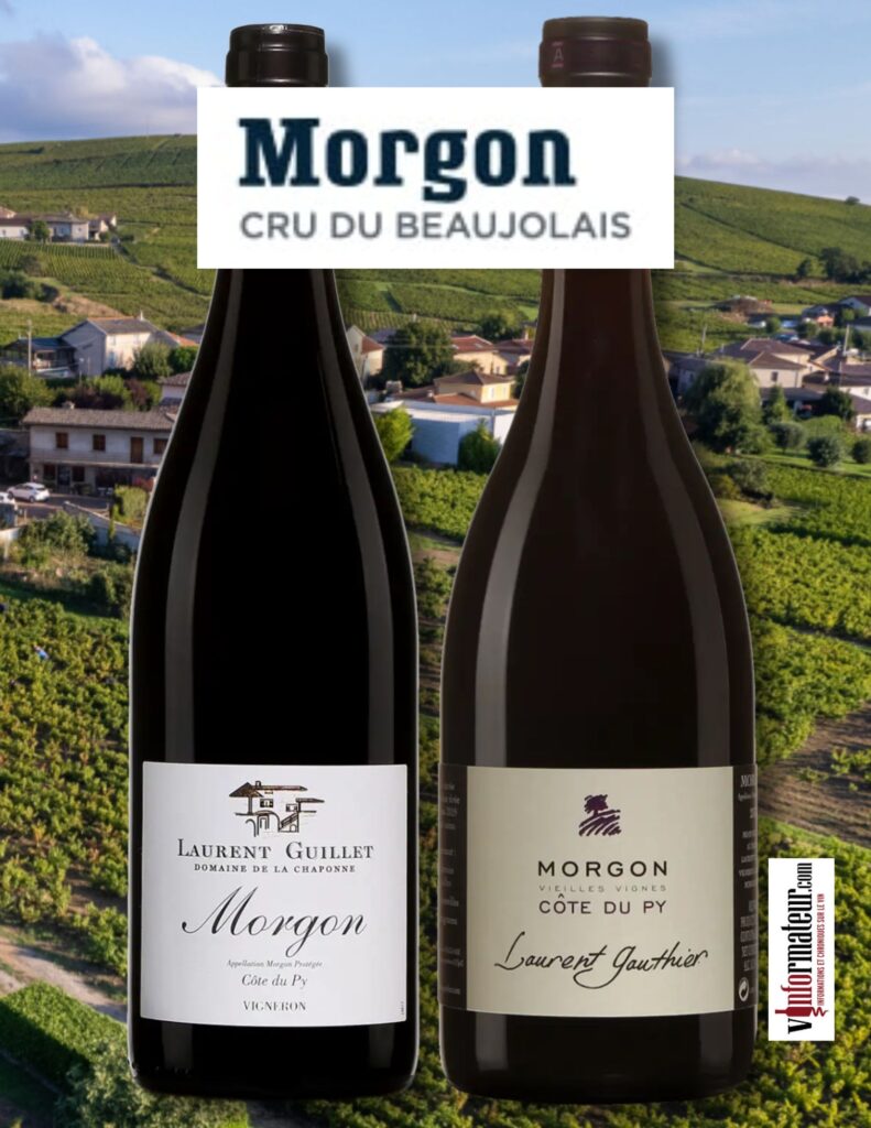 Morgon, Côte du Py, Laurent Guillet et Laurent Gauthier bouteilles