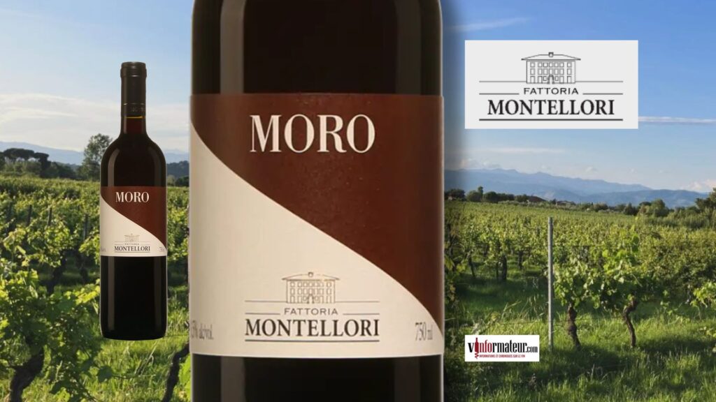 Moro 2021 : un rouge toscan de cinq ans à moins de 20 $