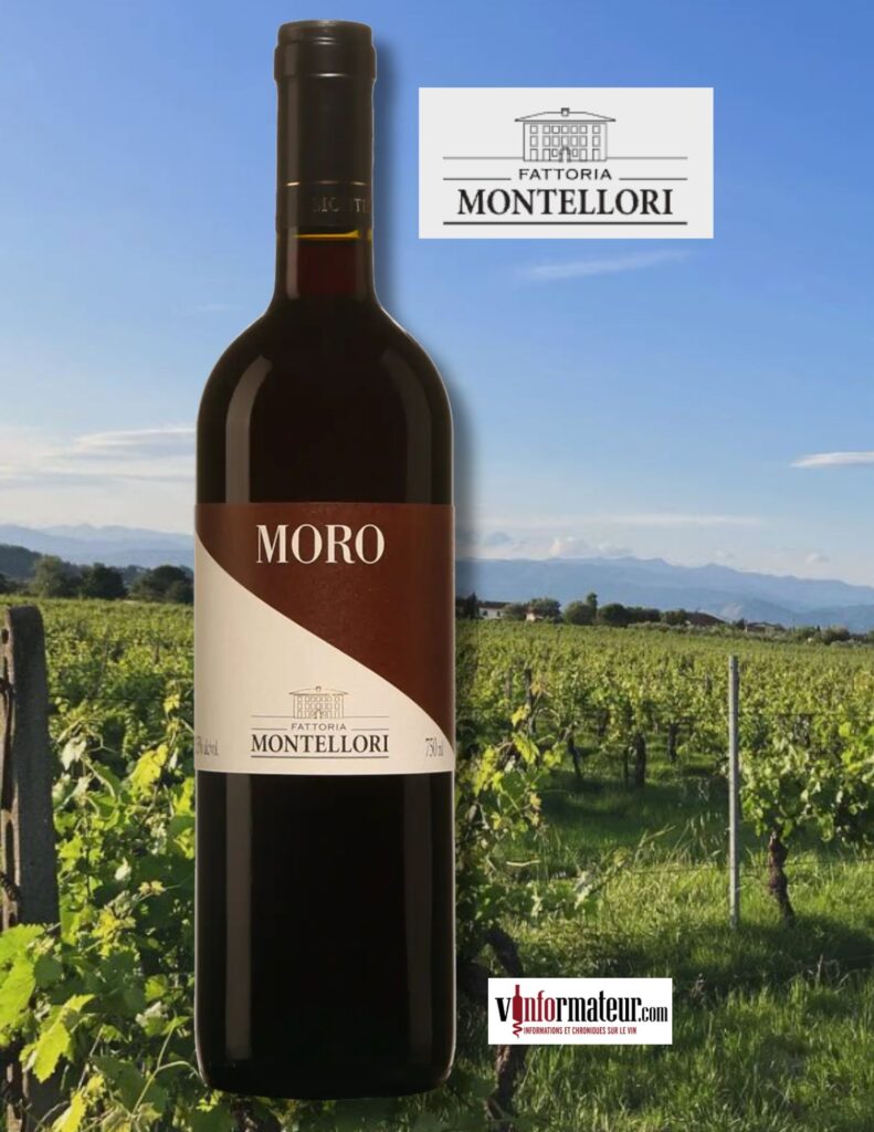 Moro, Italie, Toscana Rosso IGT, Fattoria Montellori, vin rouge, 2021 bouteille
