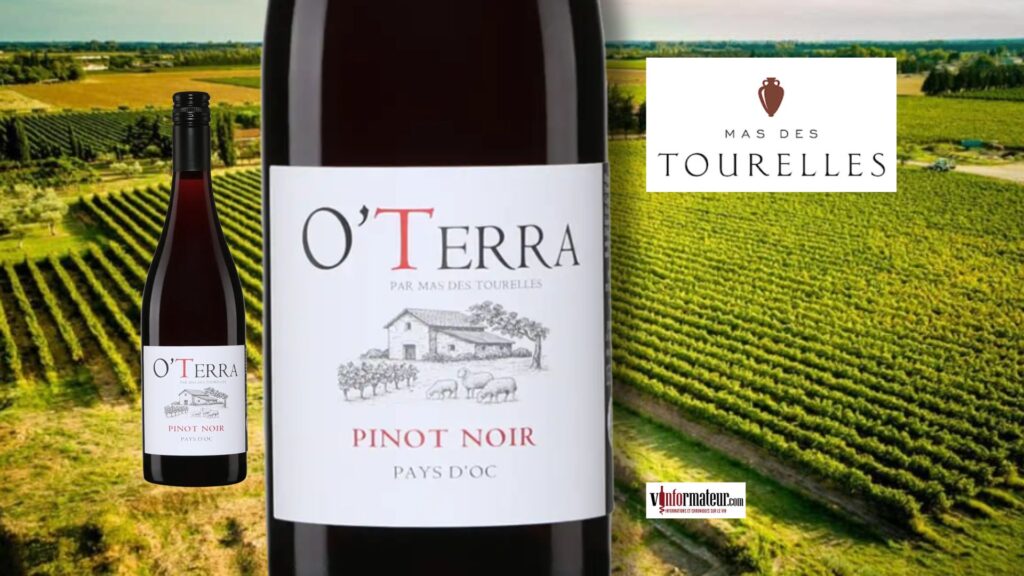 Un Pinot Noir du Languedoc qui étonne par sa fraîcheur, sa buvabilité et son prix.