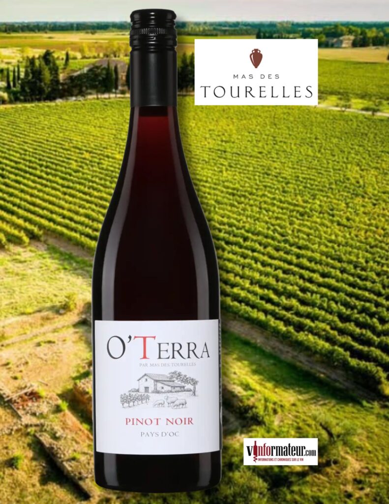 O’Terra Pinot Noir, Languedoc-Roussillon, IGP Pays d’Oc, vin rouge, 2024 bouteille