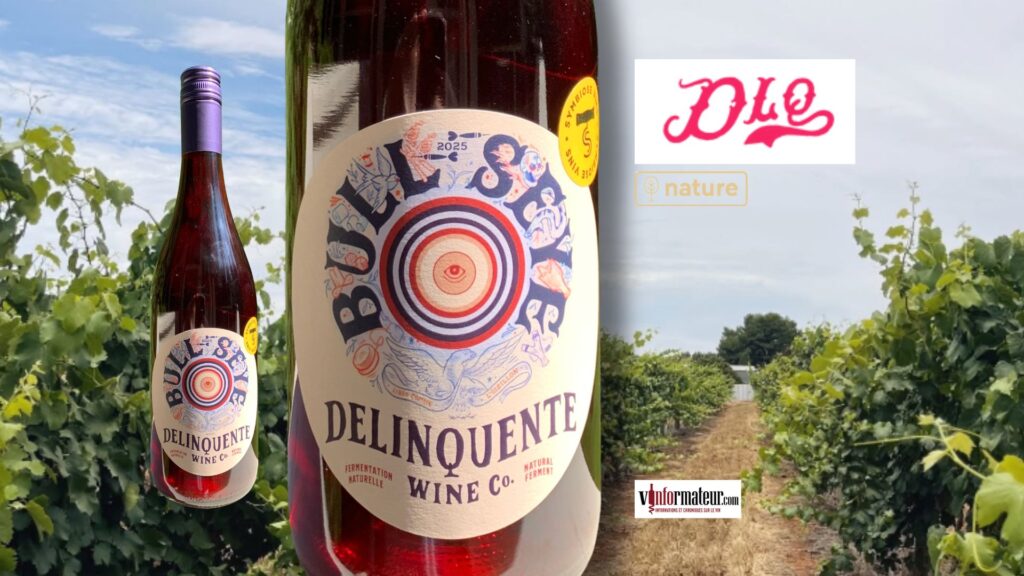 🍷 Bullseye 2025 : un vin rouge nature australien à 22 $ qui vise dans le mille