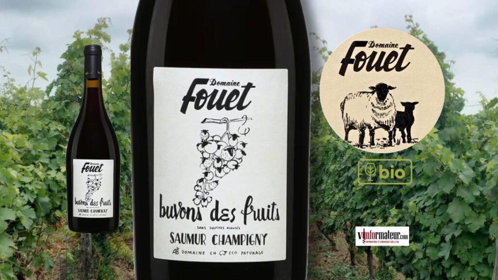 🍒 Ce Saumur-Champigny bio 2025 séduit par son fruit éclatant et sa fraîcheur