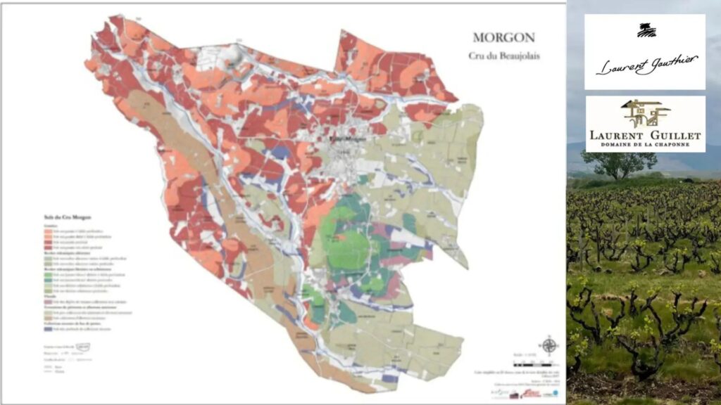 Carte viticole Morgon Beaujolais