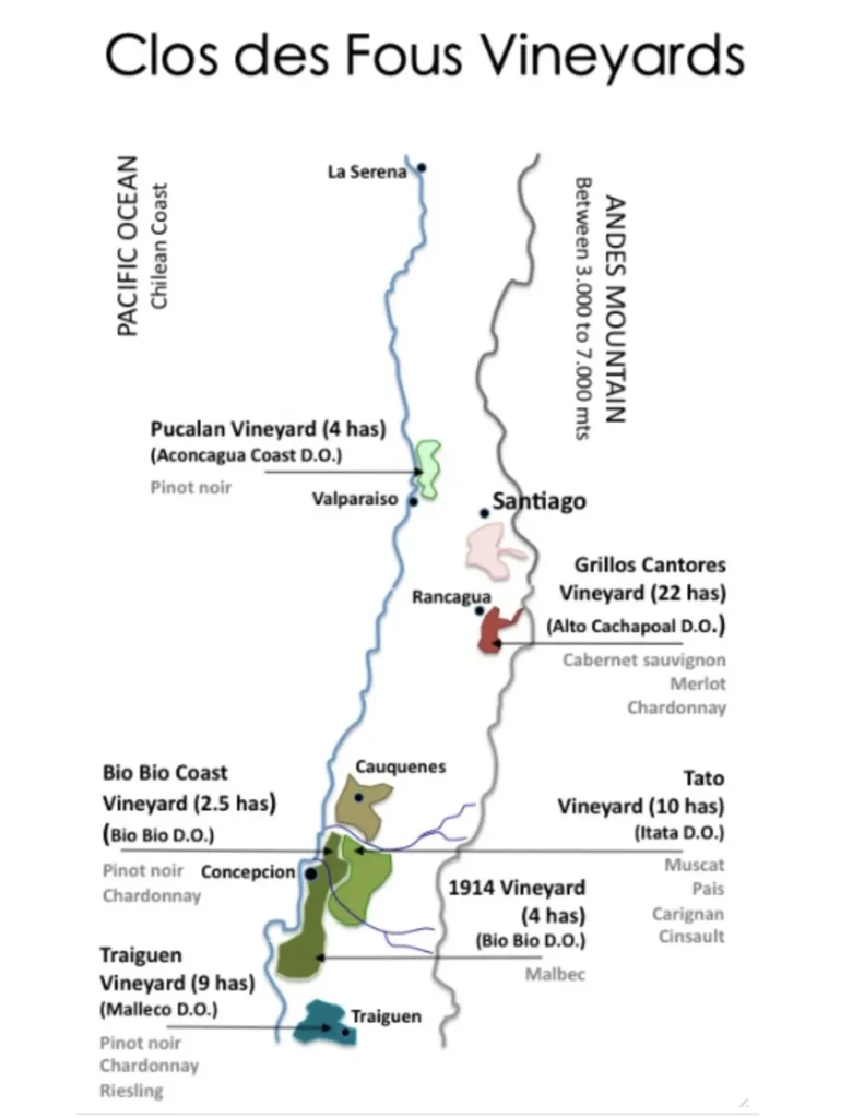 Vignobles chiliens Clos des Fous