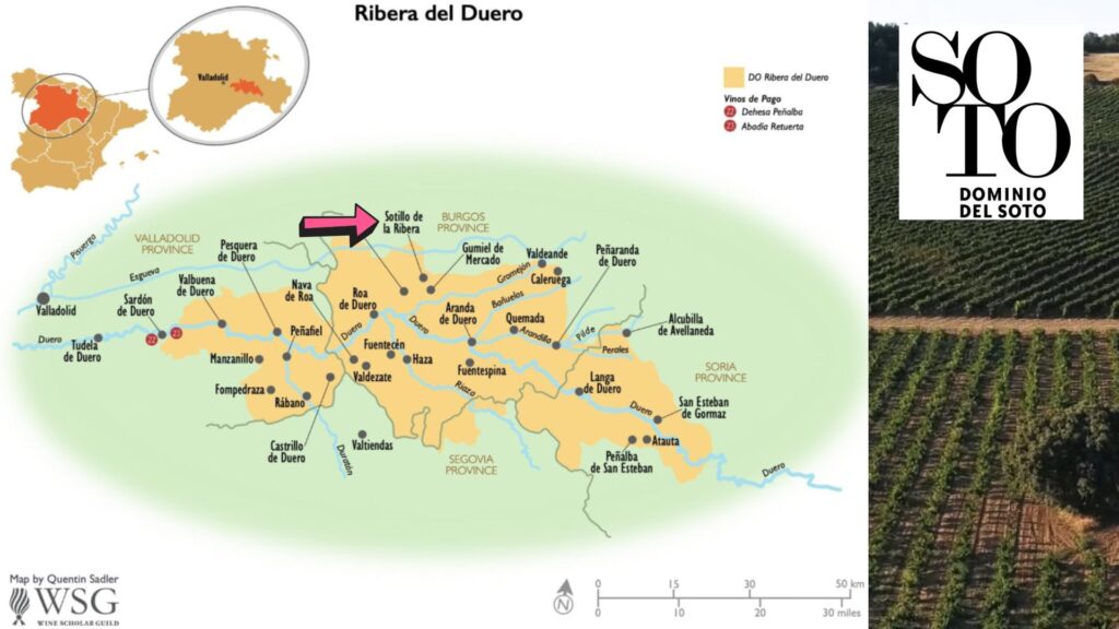 Carte viticole Ribera del Duero