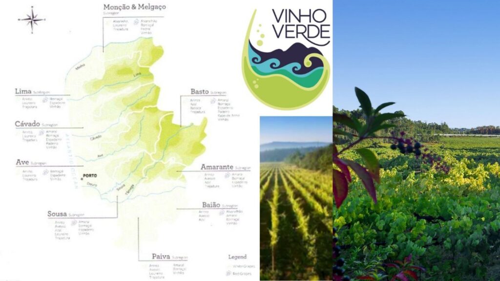 Carte viticole Vinho Verde