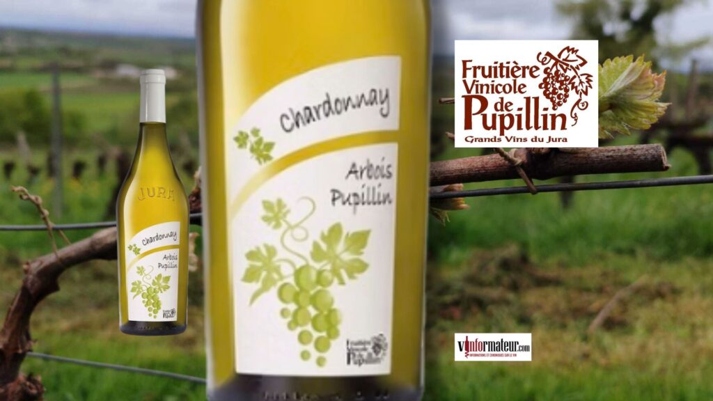 Arbois-Pupillin 2024 : un Chardonnay jurassien frais, pur et salin
