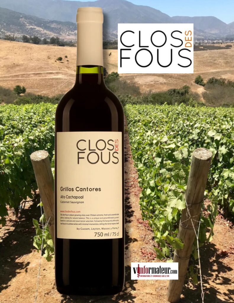 Clos des Fous, Grillos Cantores, Cabernet-Sauvignon, Chili, Valle del Rappel, Valle de Cachapoal, vin rouge, 2022 bouteille