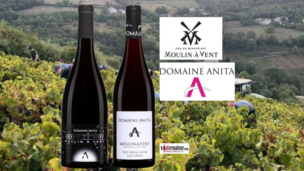 Moulin-à-Vent : deux cuvées d’Anita Neveu qui révèlent toute la personnalité du cru