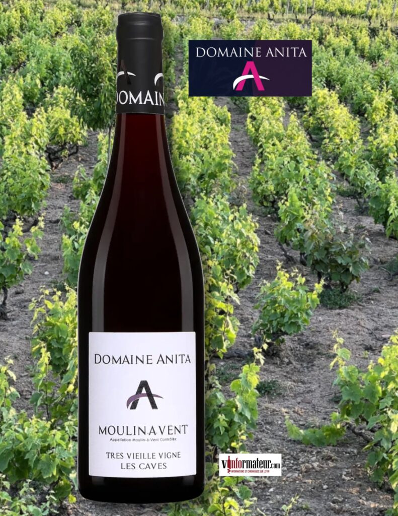 Domaine Anita, Très Vieille Vigne, Les Caves, cru Moulin-à-Vent, vin rouge, 2023 bouteille