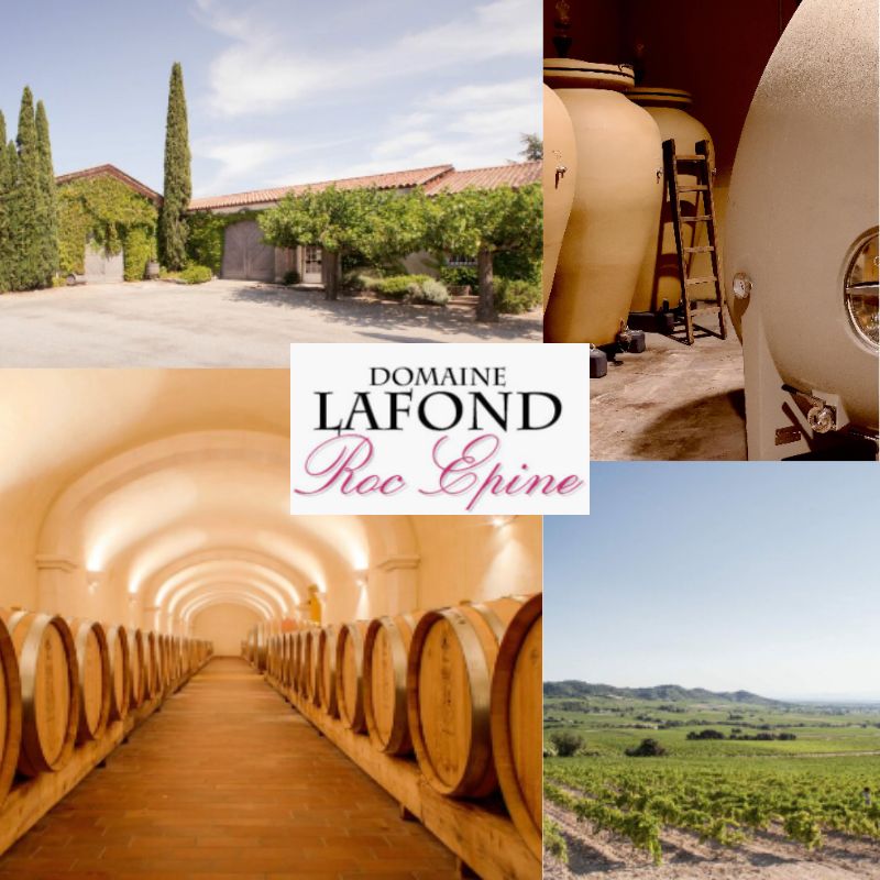 Domaine Lafond: chai et vignobles