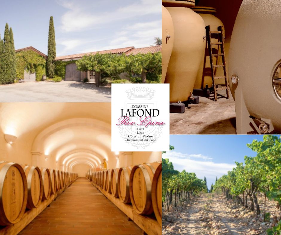 Domaine Lafond: chai et vignobles