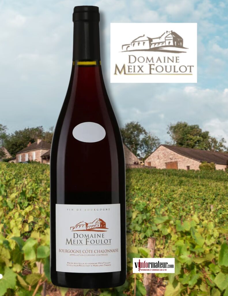 Domaine du Meix-Foulot, Bourgogne, Côte Chalonnaise, vin rouge, 2023 bouteille