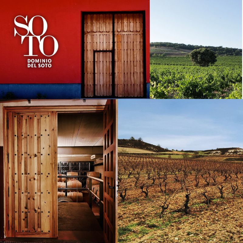 M. Chapoutier Dominio del Soto: chai et vignobles