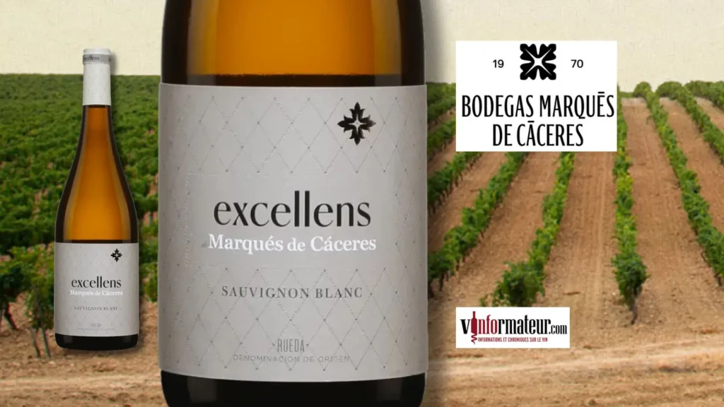 Sauvignon Blanc 2025 de Rueda : ce vin espagnol à moins de 20 $ pourrait vous faire oublier la Nouvelle-Zélande