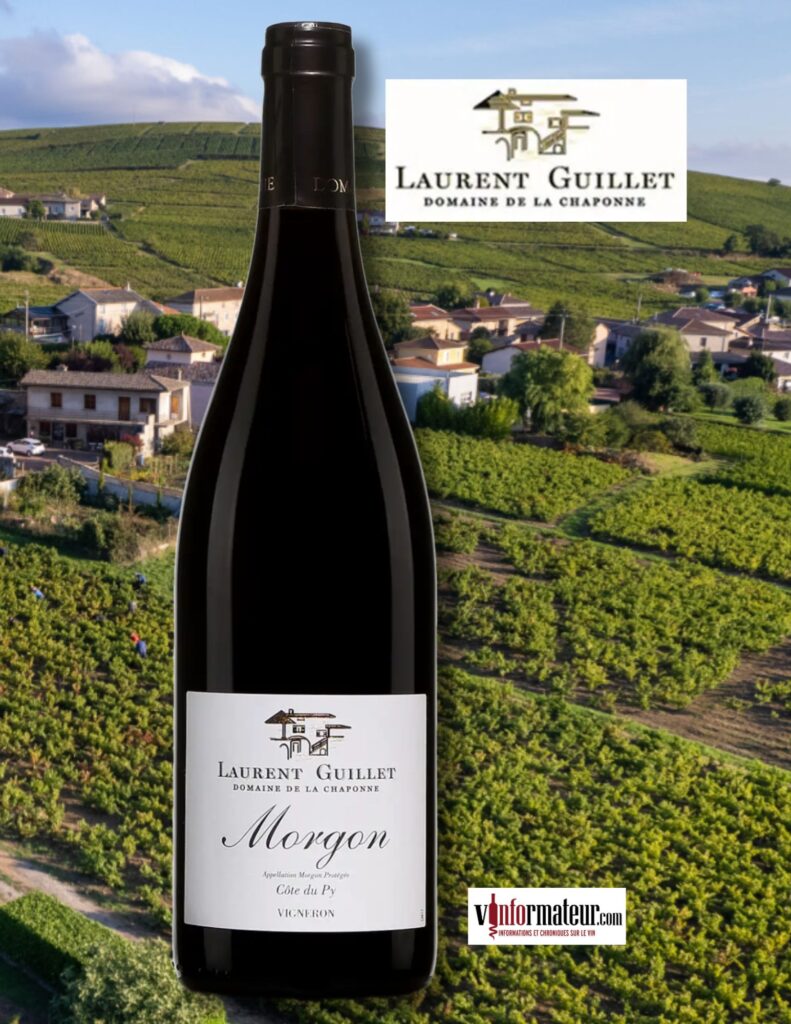 Laurent Guillet, Domaine de la Chaponne, Morgon, Côte de Py, vin rouge, 2023 bouteille