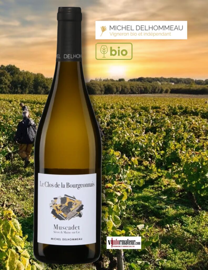 Le Clos de la Bourgeonnais, France, Muscadet Sèvre et Maine Sur Lie, vin blanc bio, Les Vignobles de Saint Vincent, Michel Delhommeau, 2023, bouteille