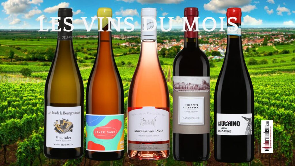 Les 5 vins du mois : les meilleures bouteilles disponibles à la SAQ dégustées en juillet!
