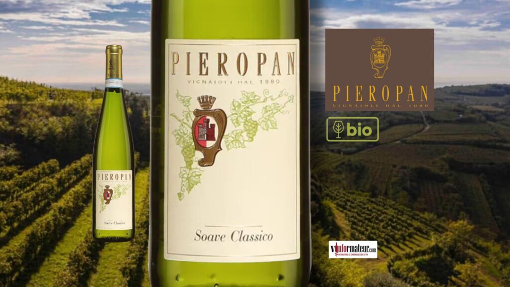 🍷 Coup de cœur : ce Soave Classico 2024 de Pieropan est une valeur sûre année après année
