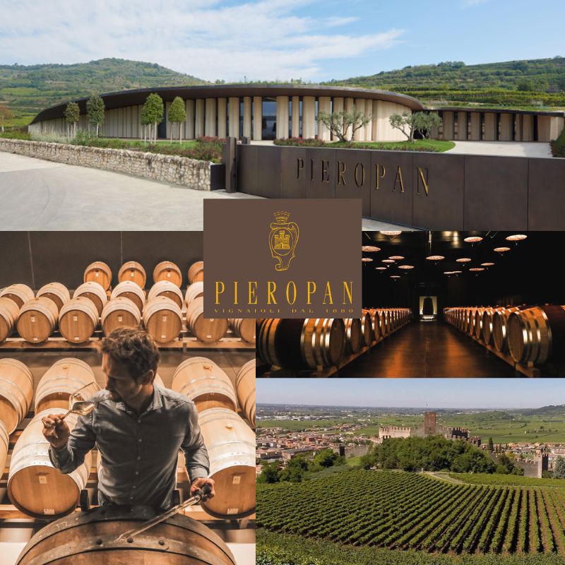 Pieropan: chai et vignobles