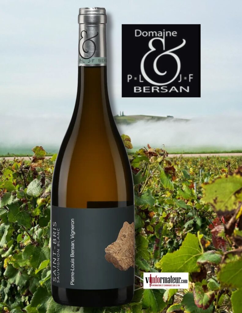 Saint-Bris, Sauvignon blanc, Bourgogne, Chablis et Grand Auxerrois, Pierre-Louis Bersan, vin blanc, 2019 bouteille