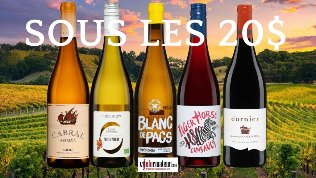 Cinq vins sous la barre des 20$
