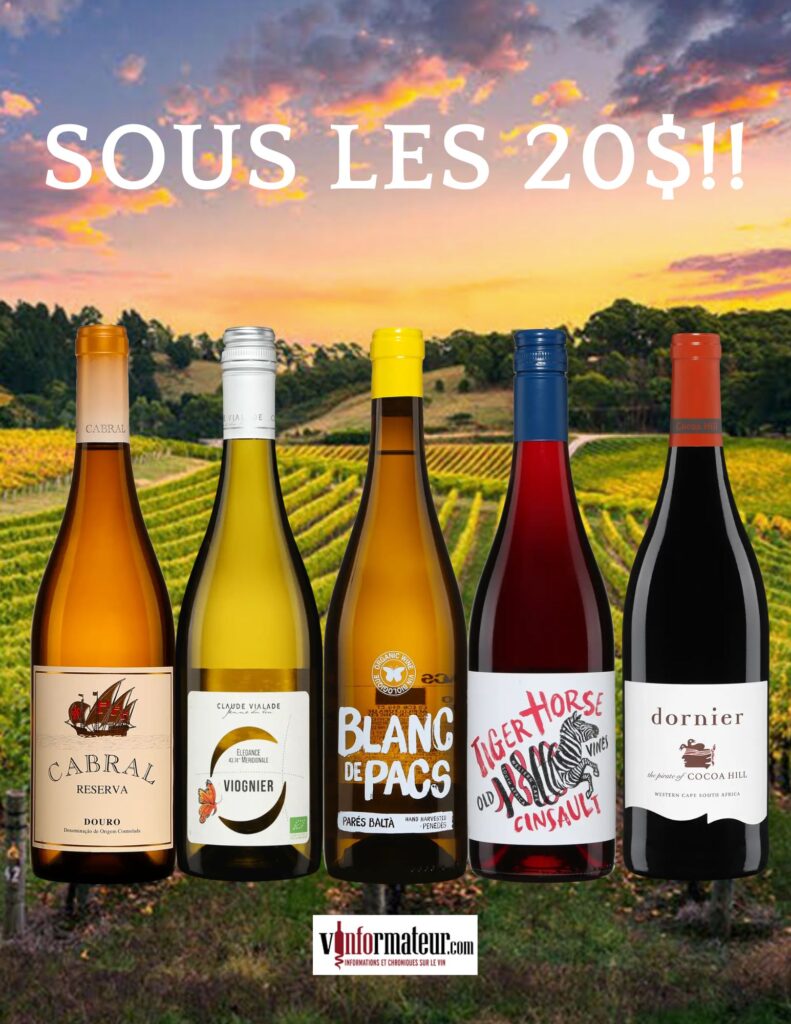 Cinq vins sous les 20$ bouteilles