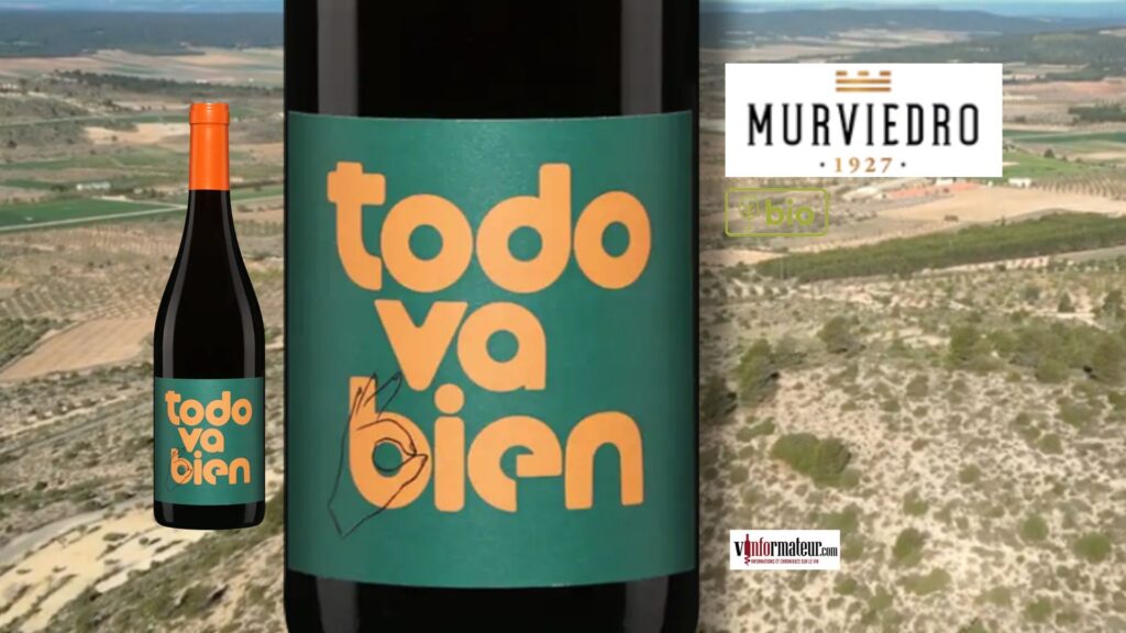 Todo Va Bien 2025 : Monastrell et Grenache dans un rouge bio à 20,30 $