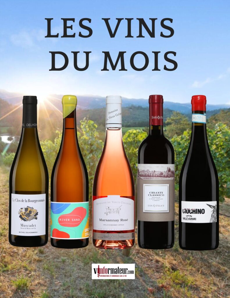 Mes cinq meilleurs vins dégustés en juillet disponibles à la SAQ bouteille