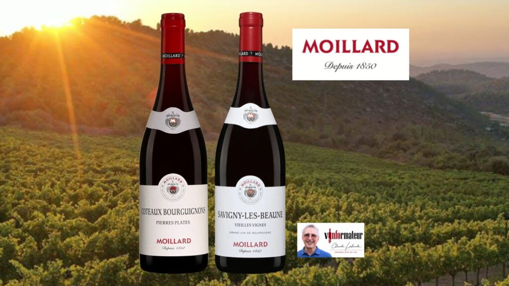 La Bourgogne en rouge. Gamay et Pinot Noir!