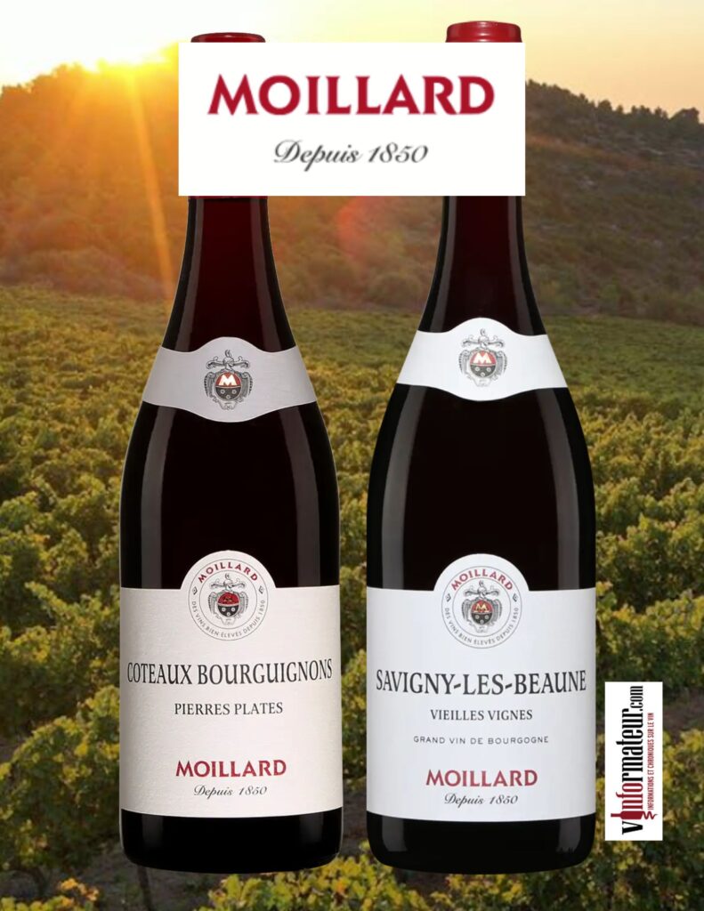 Moillard - Gamay et Pinot Noir