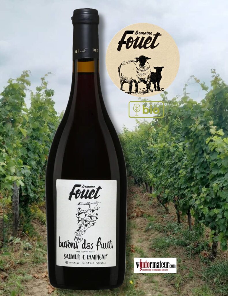 Buvons des fruits, Domaine Fouet, France, Val de Loire, Saumur-Champigny, vin rouge bio – nature, 2025 bouteille