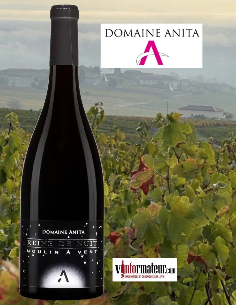 Reine de Nuit, Moulin-à-Vent, Beaujolais, »Aux Caves », Domaine Anita, Anita Neveu, 2024 bouteille