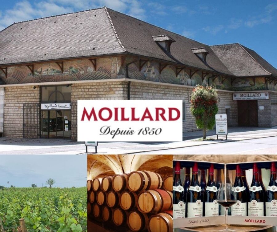 Moillard: chai, vignobles et vins